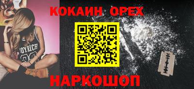 крисы Аргун