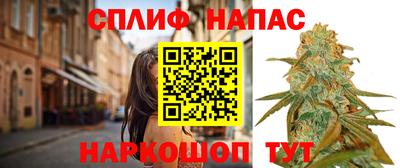 ECSTASY Будённовск