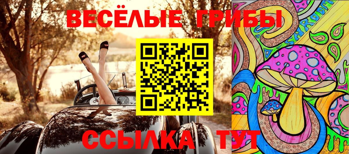 как найти   Псилоцибиновые грибы ЛСД  Галлюциногенные грибы MAGIC MUSHROOMS  Вход с VPN  Белогорск 