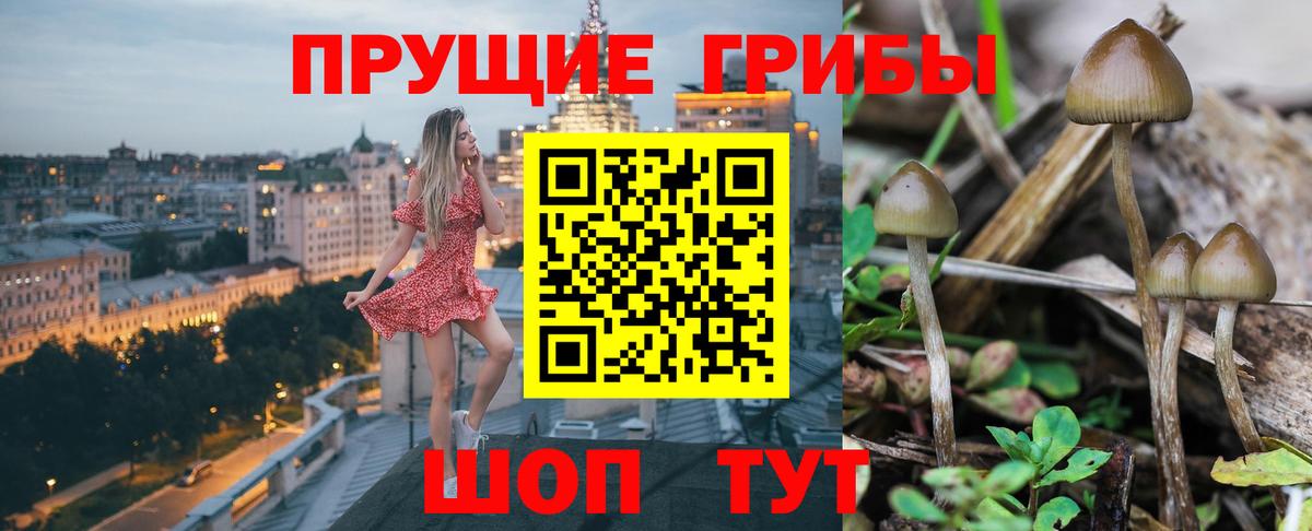 Галлюциногенные грибы мицелий Белогорск